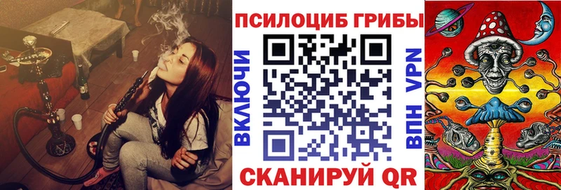 Псилоцибиновые грибы Psilocybe darknet какой сайт Козельск где найти MEGA ссылки